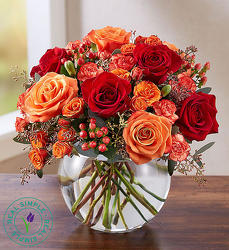 Autumn Bliss from Wyoming Florist in Cincinnati, OH