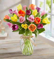 Tulip vase from Wyoming Florist in Cincinnati, OH