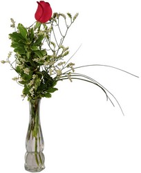 Single Red Rose from Wyoming Florist in Cincinnati, OH