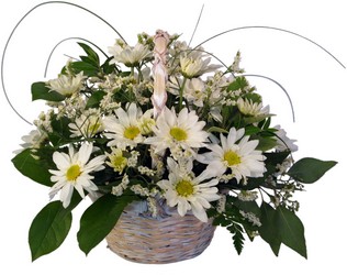 Daisy Basket from Wyoming Florist in Cincinnati, OH