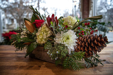 Chestnut from Wyoming Florist in Cincinnati, OH