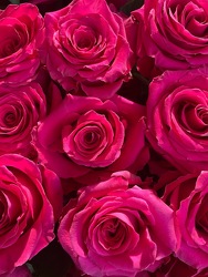 Bright Pink Roses from Wyoming Florist in Cincinnati, OH