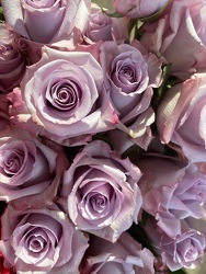 Lavender Roses from Wyoming Florist in Cincinnati, OH
