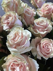 Light Pink Roses from Wyoming Florist in Cincinnati, OH