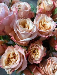 Peach Roses from Wyoming Florist in Cincinnati, OH